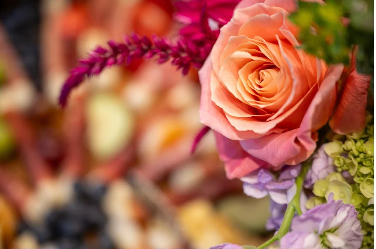 Close-up of a rose in a floral arrangement
